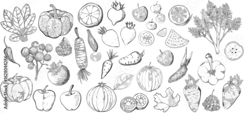 Collection of grayscale watercolor drawings featuring various fruits and vegetables in a detailed style