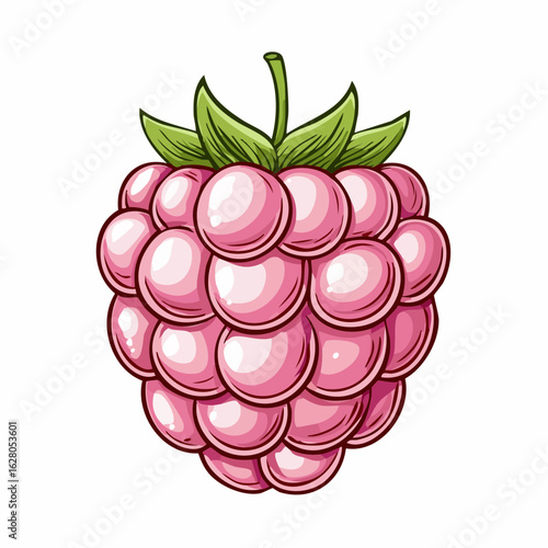Vibrant raspberry illustration showcasing fresh produce and botanical artistry in detail
