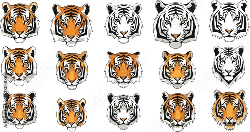 Isolated a kinds of deferent tiger head vector art with white background.