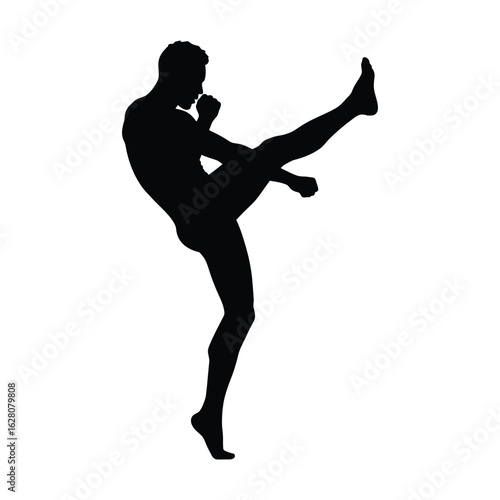 Silhouette of a man performing a martial arts kick, showcasing the power, agility, and discipline involved in combat sports and selfdefense techniques