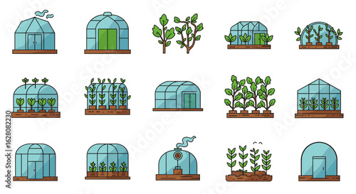 Set of colorful greenhouse designs with plants in flat style