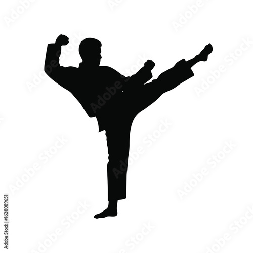 Silhouette of a karate fighter kicking with leg isolated on white background martial art combat training and exercise for health and fitness concept design