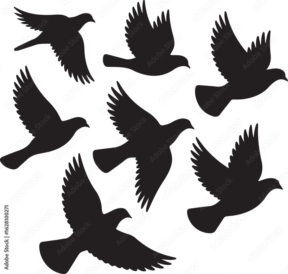 Obraz premium Set of flying dove silhouettes. Vector illustration of a flock of birds in various flight poses isolated on a white background.