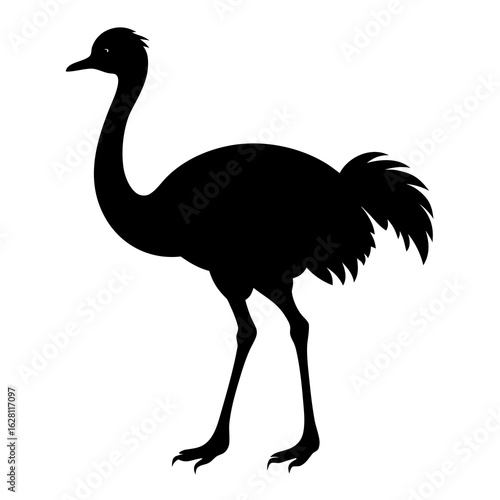 ostrich cartoon isolated on white