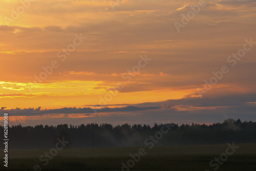 Wallpaper Mural Dramatic sunset over misty forest silhouette in summer evening. Vivid summer sunset with golden clouds and mist over a dark forest skyline in peaceful countryside. Torontodigital.ca