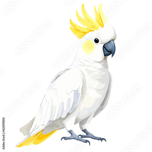 Elegant white cockatoo parrot with a bright yellow crest and cheek patch in a standing pose.