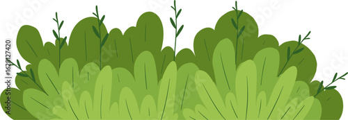 Stylized Green Bushes and Plant Foliage Illustration on White Background