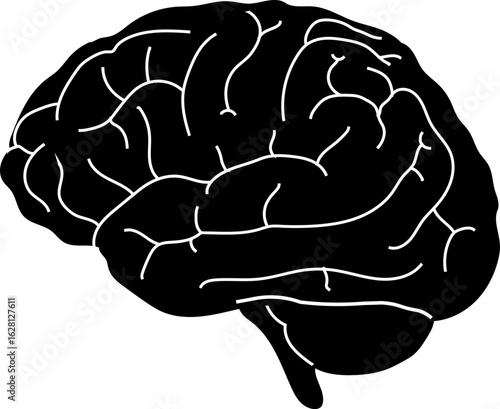 human brain vector illustration