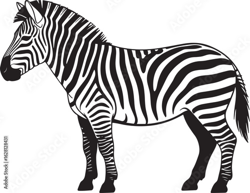 Zebra Silhouette Vector Illustration Standing with a Transparent Background Design for Safari