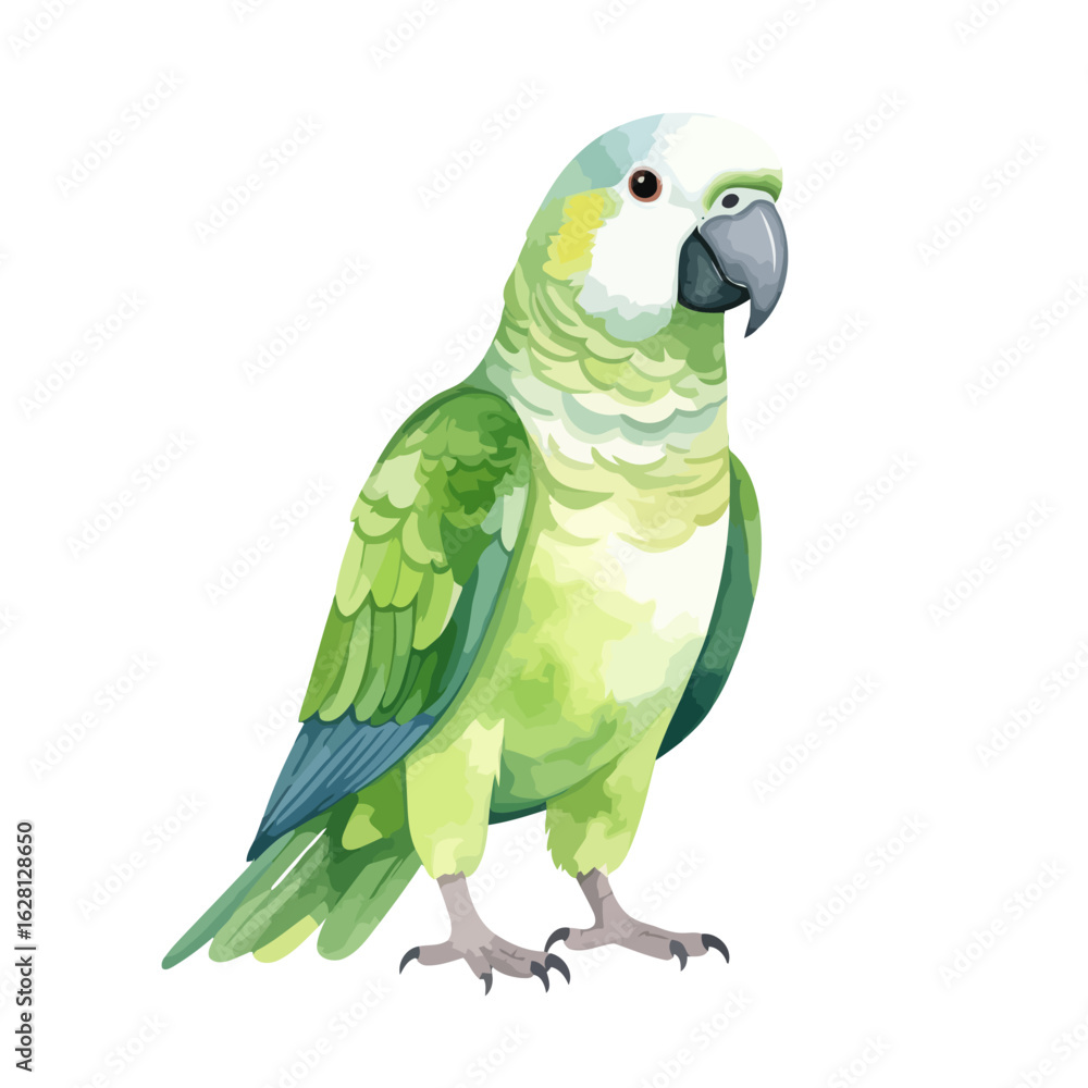 Obraz premium Watercolor illustration of a standing green parrot with a pale blue head, yellow cheeks, and blue-tipped wings.
