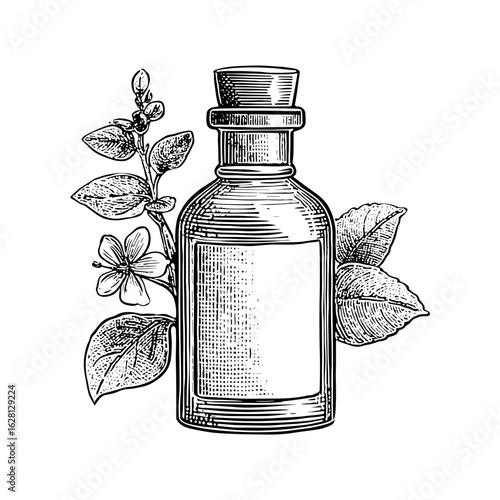 Vintage glass bottle with cork and floral illustration design  