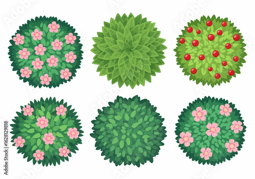 Top view of green bushes with pink flowers and red berries isolated on white background