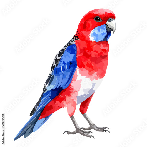 Vibrant Crimson Rosella parrot with bright red and blue plumage in a stylized illustration.