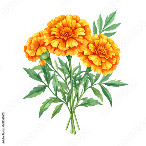 Watercolor Bouquet of Three Vibrant Orange Marigold Flowers with Green Leaves