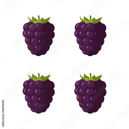 Wallpaper Mural Four stylized blackberries isolated on white, perfect for culinary or health-related content. Torontodigital.ca