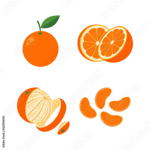 Four Oranges Fresh Citrus Fruit Illustration