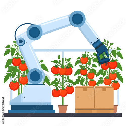 Robotic arm harvesting ripe red tomatoes in a modern greenhouse.
