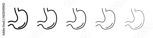 Stomach icon logo. Black line icon, vector illustrations.