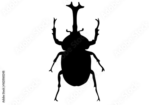 カブトムシのシルエット