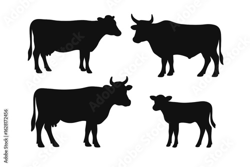 Black cow silhouettes set on white background – farm livestock cattle clipart with standing dairy cow, horned bull, calf, tail detail – simple agricultural animal vector illustration