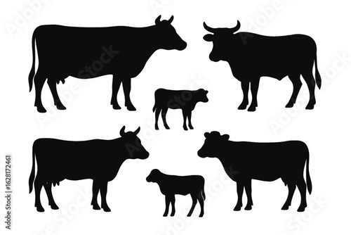 Black cow and calf silhouettes collection – dairy farm livestock, cattle herd, horned bull, heifer, calf, beef ranch animal icons, transparent vector graphic for agriculture, husbandry, butcher labels