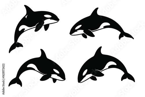 Dynamic orca silhouettes set – black killer whale vector icons jumping, swimming, diving, isolated on white for ocean wildlife education, marine mammal conservation posters and nautical decor