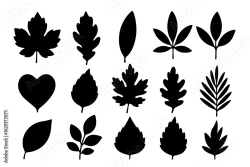 Diverse Leaf Silhouettes Vector Set—Maple, Oak, Palm, Heart, Herb, Tropical and Deciduous Foliage Icons for Eco Branding, Botanical Decor, Nature Education, Organic Product Packaging