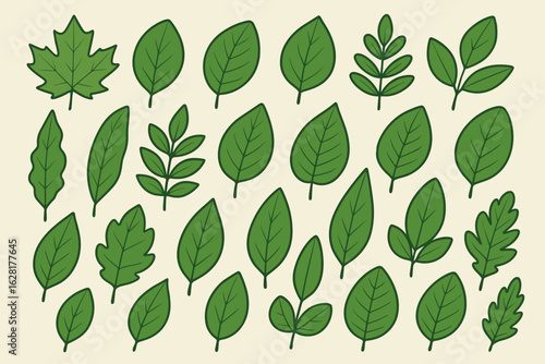 Green leaves vector collection botanical foliage set nature plant elements eco organic symbols natural garden graphics design illustration spring summer