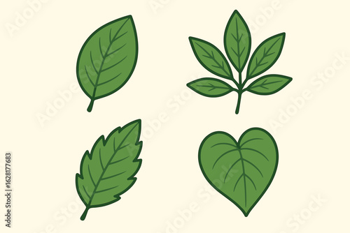 Green leaves vector set collection botanical foliage plant design pack natural organic leaf shapes flat illustration nature elements graphic bundle spring summer fresh greenery