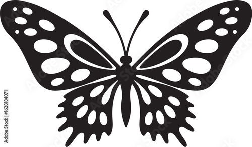 Intricate Butterfly Laser Cut Design Collection Vector Art