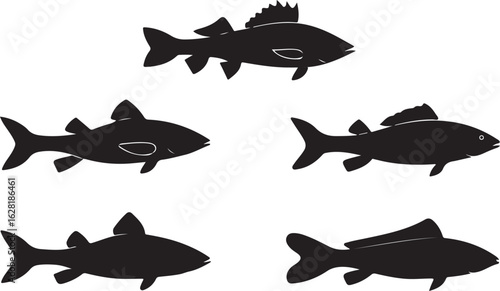 Assorted Fish Silhouettes Collection