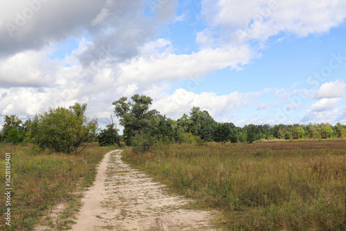 Canvas Print dirt path through green field towards far grove under summer cloudy sky scene