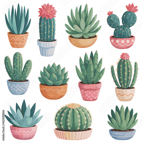 Collection of ten stylized potted cacti and succulents with pink flowers on white background cactus potted plant