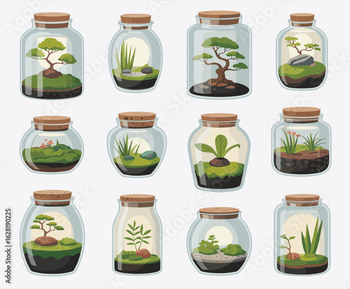 Collection of Twelve Glass Terrariums with Miniature Plants and Bonsai Trees glass jar cork lid
