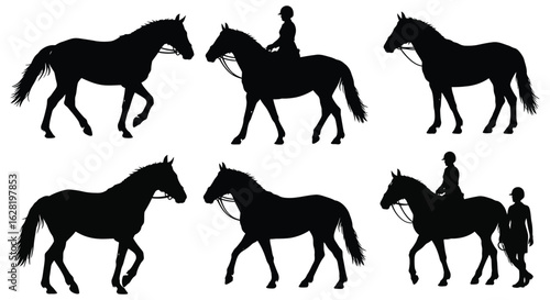 Silhouette Collection of Horses with and without Riders in Various Poses