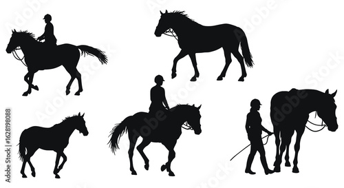 Horse Silhouettes Collection Equestrian Activities and Poses Black and White Vector Set