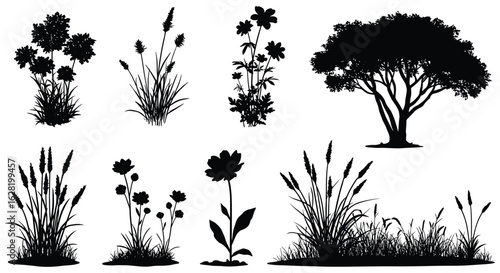 Silhouette Collection of Trees Flowers and Grasses for Design Elements