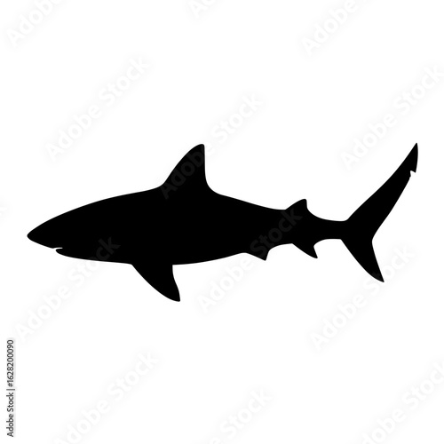 The image features a bull shark's silhouette isolated on white, crafted in a modern and minimalist illustration approach