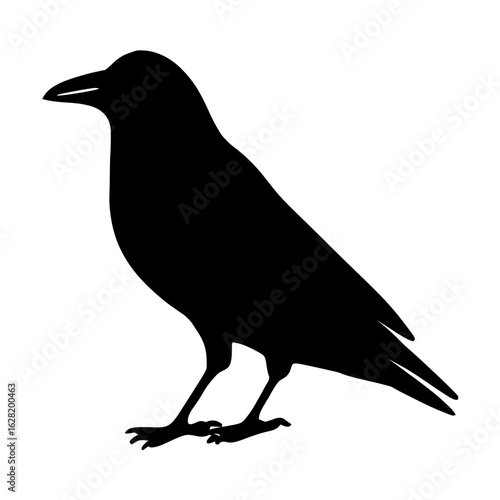 A white background provides the sole contrast to the isolated black form of a rook