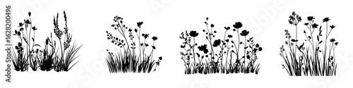 Modern illustration depicts hand-drawn sketch flowers as black silhouettes of grass, flowers, and herbs isolated on white