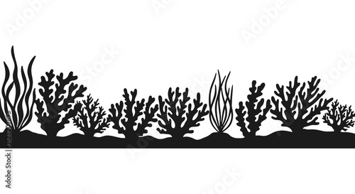 Silhouette of Seaweed and Coral Reef Plants on the Ocean Floor
