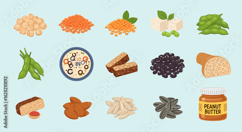 Illustration showing various sources of plant based protein including legumes and seeds on blue background