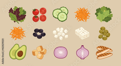 Assortment of fresh salad ingredients including lettuce tomatoes cucumbers and other vegetables spread out