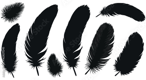 Collection of Black Feather Silhouettes on White Background for Graphic Design