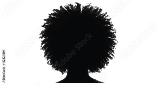 Silhouette of Person with Afro Hairstyle Against a Bright White Background