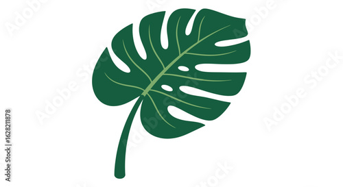 Vibrant green monstera leaf with distinctive fenestrations adds tropical flair to modern design