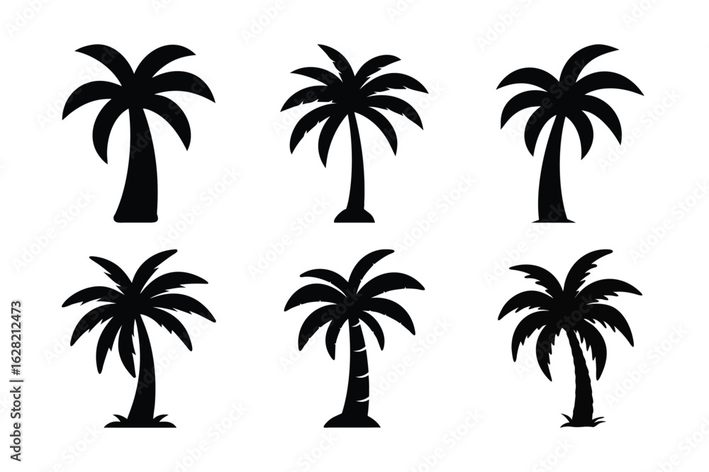 Fototapeta premium set of palm trees