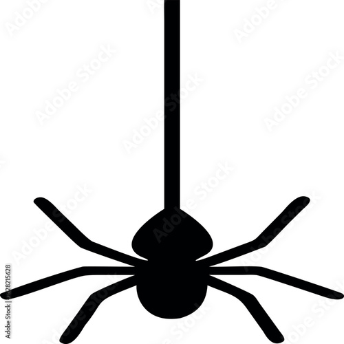 spider on a black background