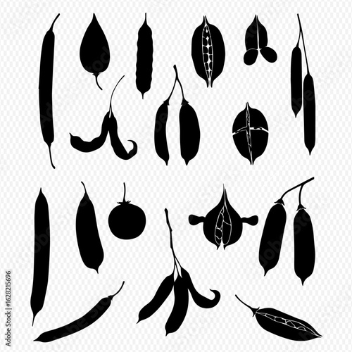 A graphic collection of black silhouettes depicting various types of seed pods, beans, and legumes.