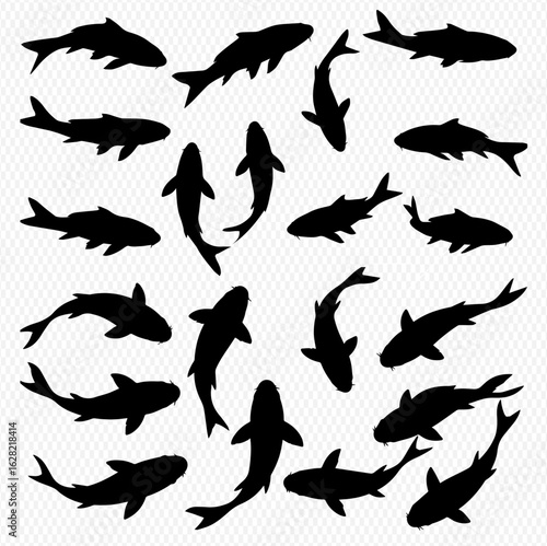 A collection of black fish silhouettes viewed from above, swimming in different directions on a transparent background.